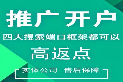 SEM竞价优化实战经验分享：成功案例背后的秘密